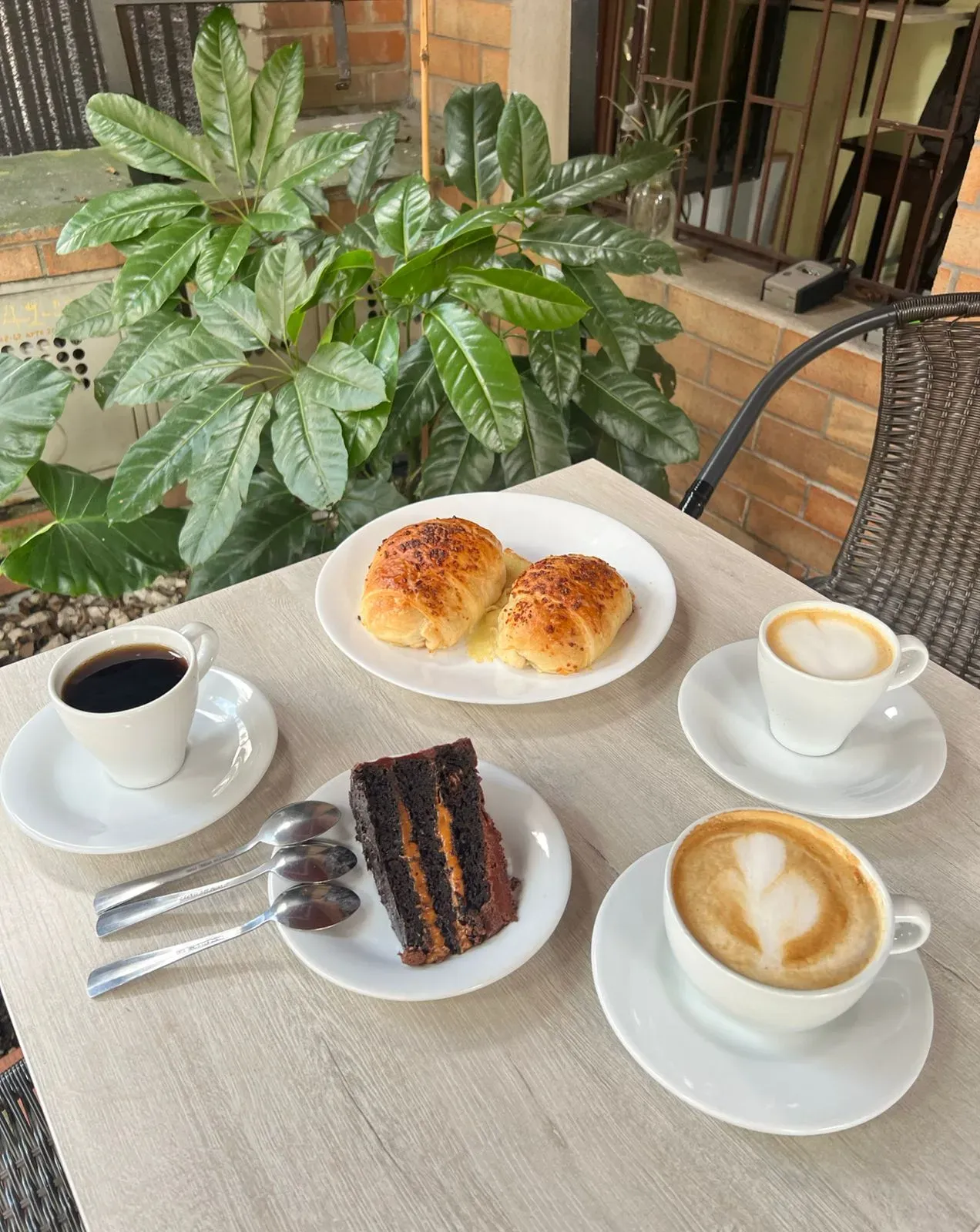 Tribu Coffee